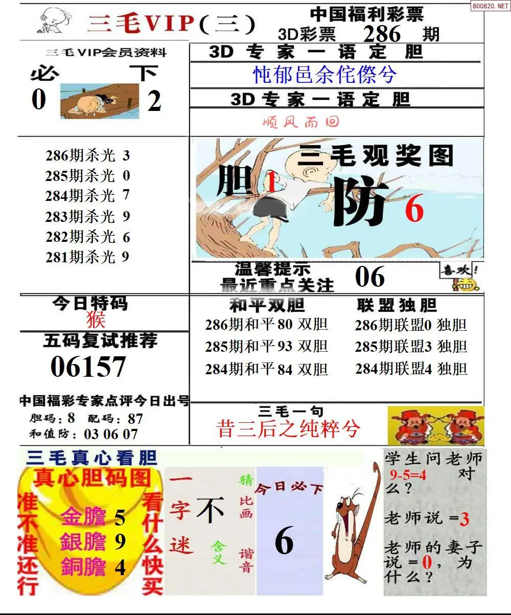 三毛VIP三版