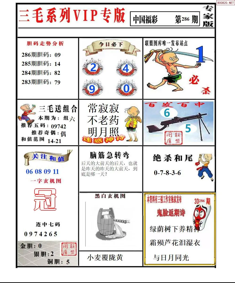 三毛系列VIP专版