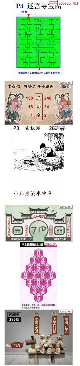 蜂巢天机图谜